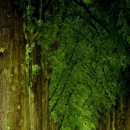 그림책 원예테라피 이미지