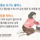 더파스 이미지