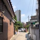 무수정육점