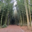 서시천자전거길1 이미지