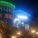 지북동송어 이미지