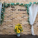 캠프예그리나 이미지