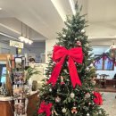 돈까스클라스 | 토스 페이스페이 후기 파파존스, 돈까스 클라스, 아우어타임, 잇 커피&amp;샌드위치