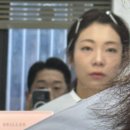 브리이에 헤어