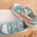 마리애견 이미지