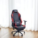 ARENA PC 이미지