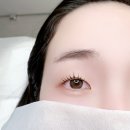 상현역 중앙약국 | [광교상현역] 무쌍 속눈썹펌 완전만족! 프롬유부티끄 속눈썹펌 후기, 예약링크