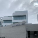 신정의료기 | [호캉스/풀빌라]포항_스타스케이프_풀빌라_B202동 전격리뷰!