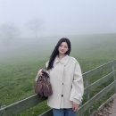 이&장 목장 이미지