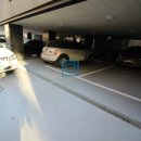 토미하우스 이미지