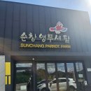 레고팜 | 광주아기랑 가기 좋은 곳 순창앵무새팜 전북가을여행