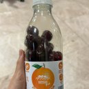 강해짐 | 유럽 라이언에어 후기 기내 수화물 짐 검사 규정이 강해졌다