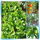 호정농장 이미지