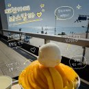 라스칼라 | 대천카페 라스칼라 망고빙수 후기