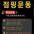 데일리점핑