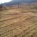 흥산농장 이미지