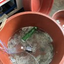 한자보건진료소 이미지