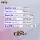Bonita Bella(보니타벨라)