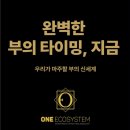 장은경: 2021.9.4일 원에코시스템 뉴스레터에서 원코인(ONECOIN)명칭을 원(ONE)으로 변경 이미지