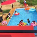 클럽더독스 이미지