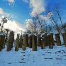 세종전통장류박물관 이미지