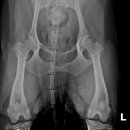 테크노연합 동물병원 이미지