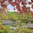 각원사약수 이미지