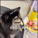 배곧호반써밋플레이스C2 | 리니크헤어 배곧미용실 클리닉 후기