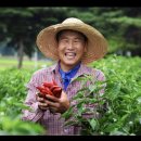 따순농장 이미지