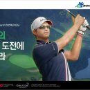 온그린 이미지