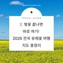[생태체험] 맥도생태공원 - 5월 12일(일) 오전 | 🌼 벚꽃 끝나면 바로 여기! 2026 전국 유채꽃 여행 지도 총정리