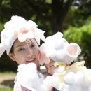 선구목장 이미지