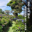 카페공간 - 화성시 동탄기흥로257번나길 14-2 | 청주 수국 명소 베이커리카페 공간 후기 주차 포토존 애견동반 총정리