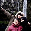 천지연 폭포 이미지