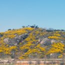 개나리공원4 이미지