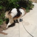 광시농장 이미지