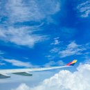 1075 | 도쿄 하네다공항 나리타공항 항공권 가격 가는방법 차이점 , HND-GMP 아시아나 OZ1075 탑승 후기