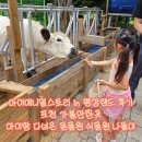 평강 | 마이애니멀스토리 in 평강랜드 후기 | 포천 가볼만한곳 아이랑 다녀온 동물원 식물원 나들이