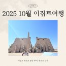 룩소르 동안 투어 - 관광학도가 본 룩소르 신전 후기