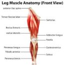 더바른몸PT 이미지