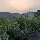 메이플팜 이미지