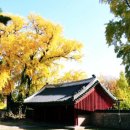 사랑으로 이미지