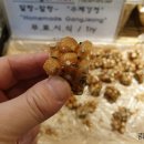 광장총각강정