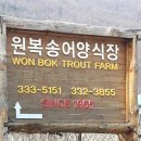 원복송어양식장 티스토리