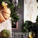 단호박공인중개사사무소 이미지