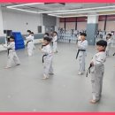 월드태권도 예절관 이미지