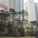 분당내곡간 고속도로 이미지