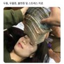 솔샘동물병원 | 2024. 10월의 일상
