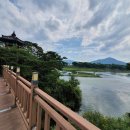 천태산농원 이미지