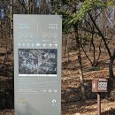 시청서5길 이미지